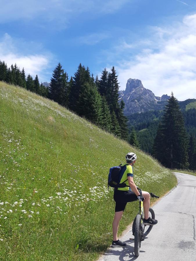 Appartement Freiraum Sankt Martin am Tennengebirge Eksteriør billede